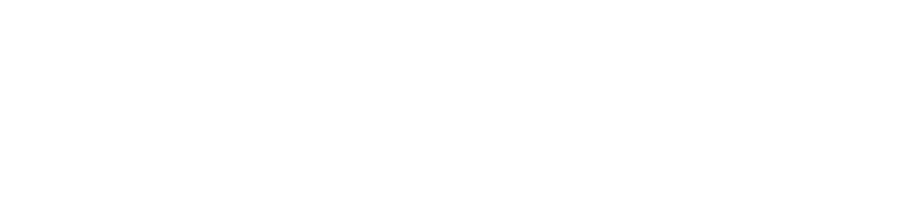 north-shore-logotype-white-rgb-900px-w-72ppi